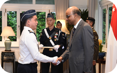 BB Website Primers Programme Domain 3.png